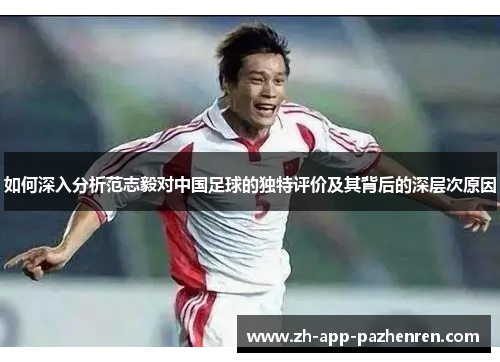 如何深入分析范志毅对中国足球的独特评价及其背后的深层次原因