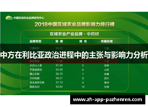 中方在利比亚政治进程中的主张与影响力分析 中方在利比亚政治进程中的主张与影响力分析