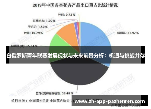 白俄罗斯青年联赛发展现状与未来前景分析:机遇与挑战并存 白俄罗斯青年联赛发展现状与未来前景分析:机遇与挑战并存